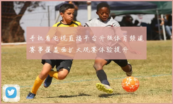 手机看电视直播平台升级体育频道赛事覆盖面扩大观赛体验提升