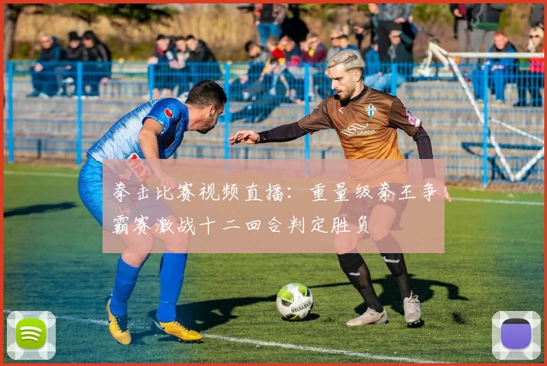 拳击比赛视频直播：重量级拳王争霸赛激战十二回合判定胜负