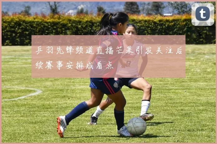 乒羽先锋频道直播芒果引发关注后续赛事安排成看点