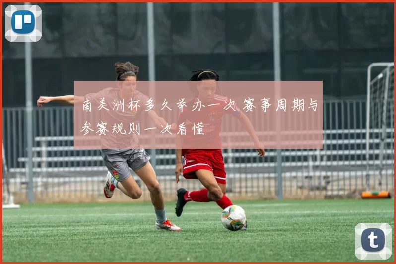南美洲杯多久举办一次 赛事周期与参赛规则一次看懂