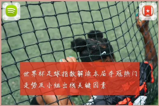 世界杯足球指数解读本届夺冠热门走势及小组出线关键因素